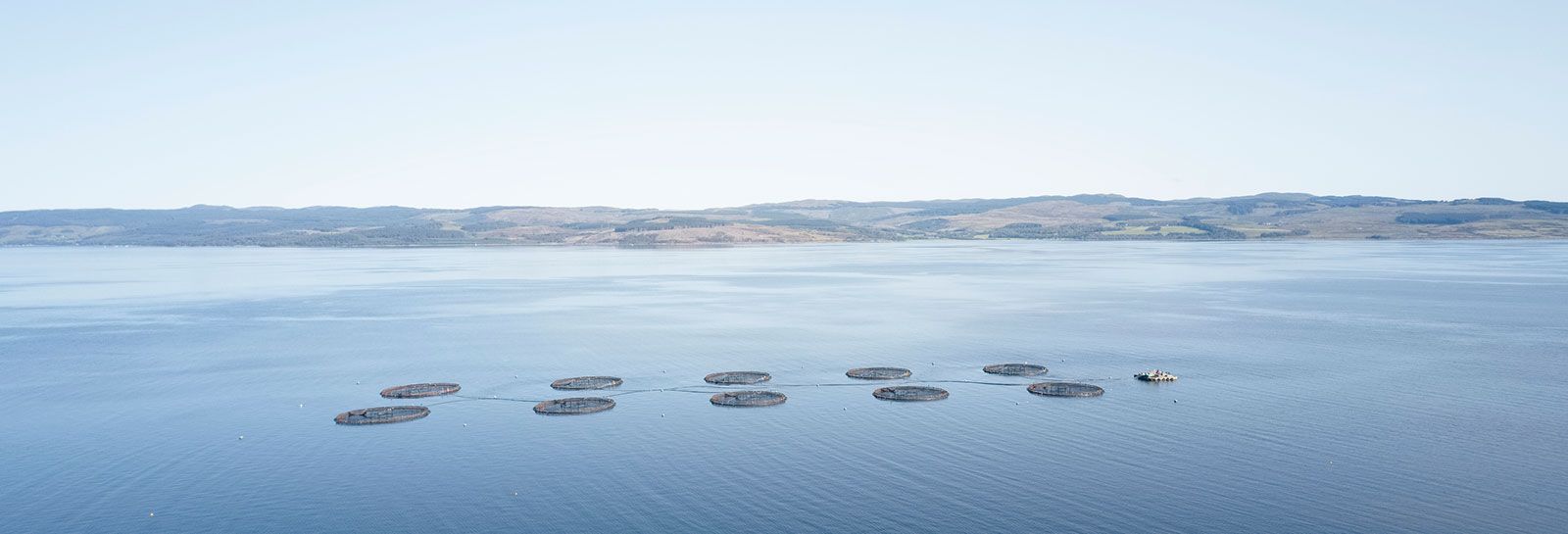 Fish farm at Loch Awe banner image
